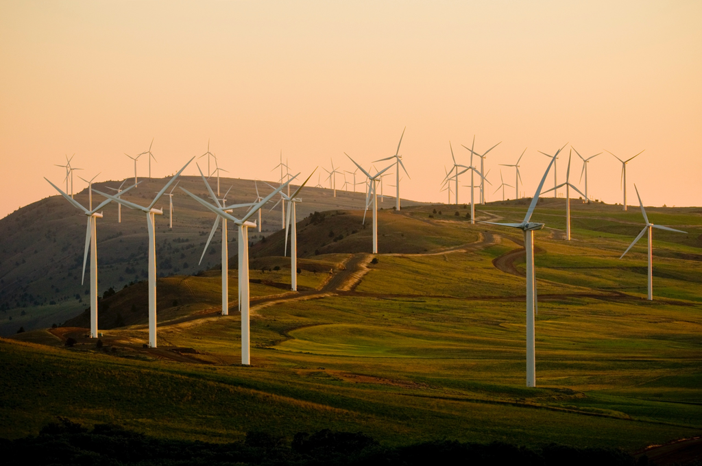 Africa Needs 30-Fold Increase in Renewable Power Capacity by 2050, IRENA Warns