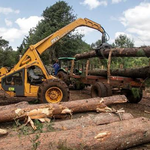 Ol Kalou Court Halts Logging in Aberdare Forest