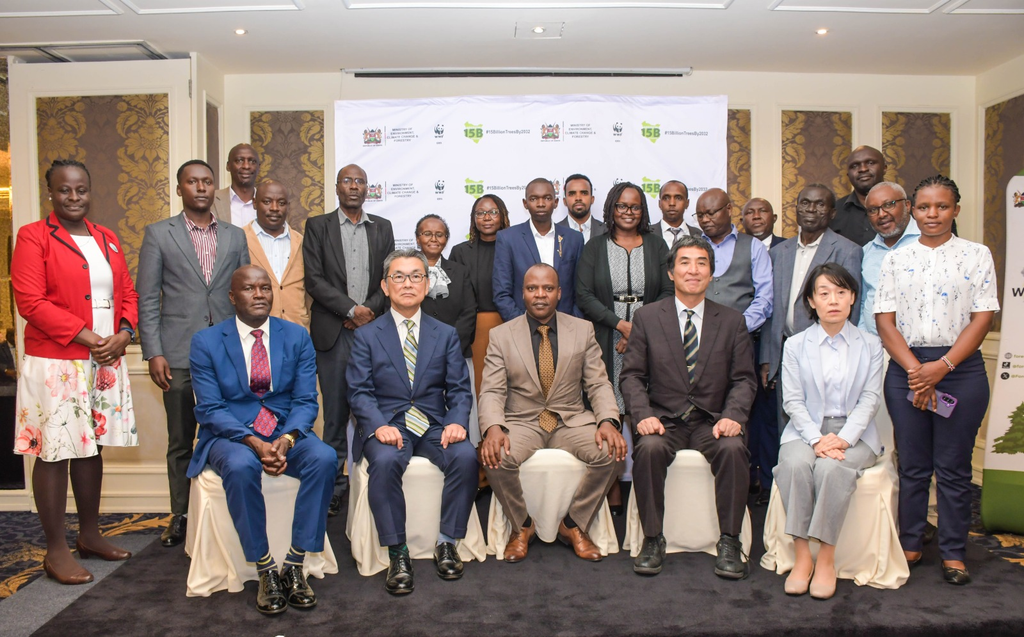 Satellite Technology Offers New Approach to Tracking Kenya’s Tree Cover