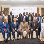 Satellite Technology Offers New Approach to Tracking Kenya’s Tree Cover