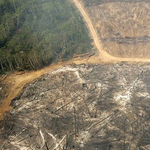 Seven Of Nine Planetary Boundaries Breached as Climate Risks Deepen, Scientists Warn