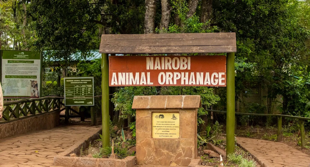 Court Halts Car Park Construction Inside Nairobi National Park