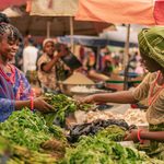 Healthy Diets Remain Beyond Reach for Two-Thirds of Africa’s Population, UN Report Finds