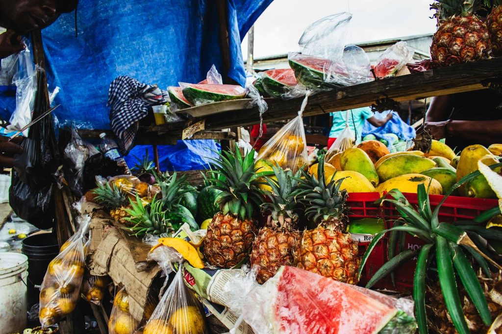Why Science, People and Agroforestry Hold the Key to Africa’s Food Future