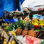 Why Science, People and Agroforestry Hold the Key to Africa’s Food Future